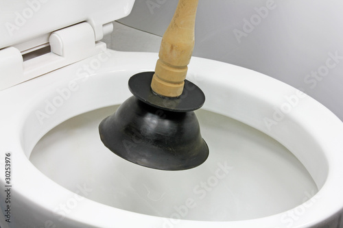 Fotografija plunging toilet