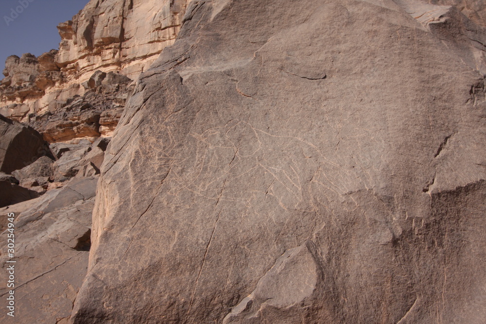 Obraz premium ALG270