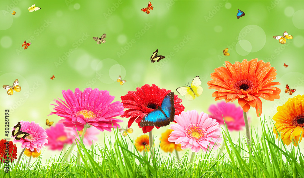 Obraz premium Spring romance