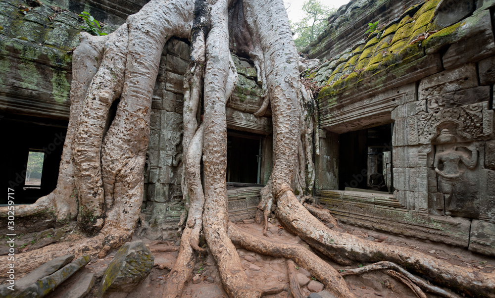 Temple of Ta Prohm in Angkor, Cambodia
