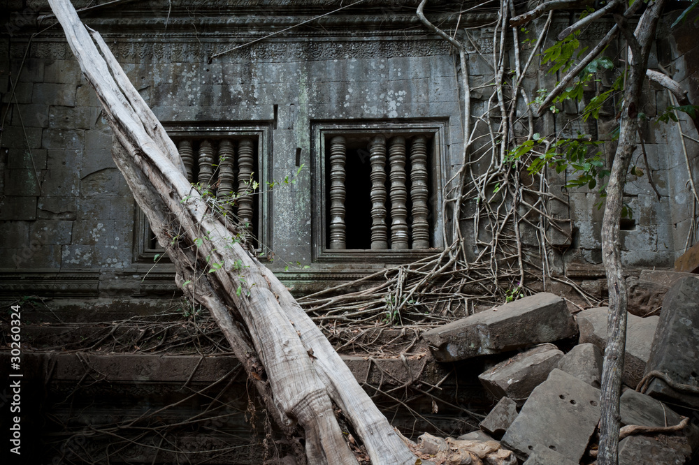 Trees and vines overrun Beng Melea Temple in Angkor