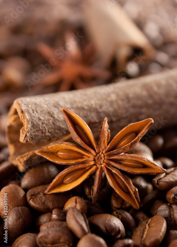 Anise, cinnamon and coffee beans