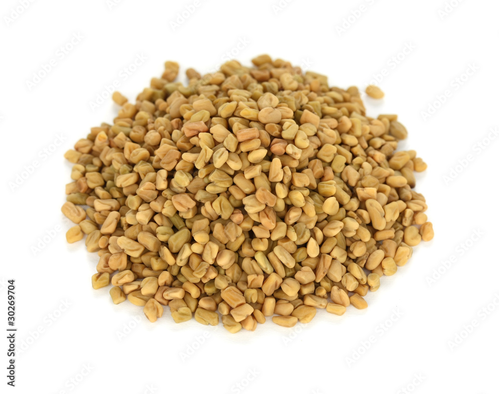 Fototapeta premium fenugreek seeds , indian spice