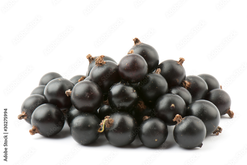 blackcurrant