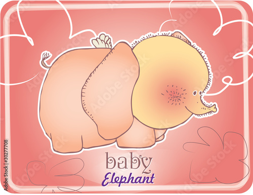 baby elephant design