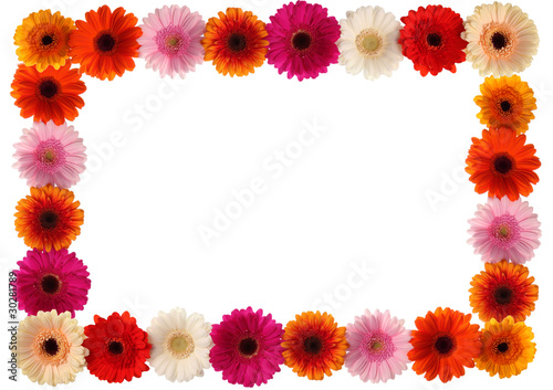 Bunter Blumen Rahmen