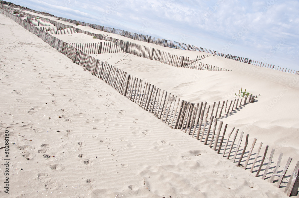 Dunes Dunes