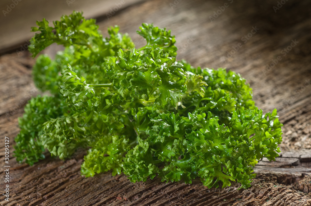 curly parsley-prezzemolo riccio curly parsley-prezzemolo riccio