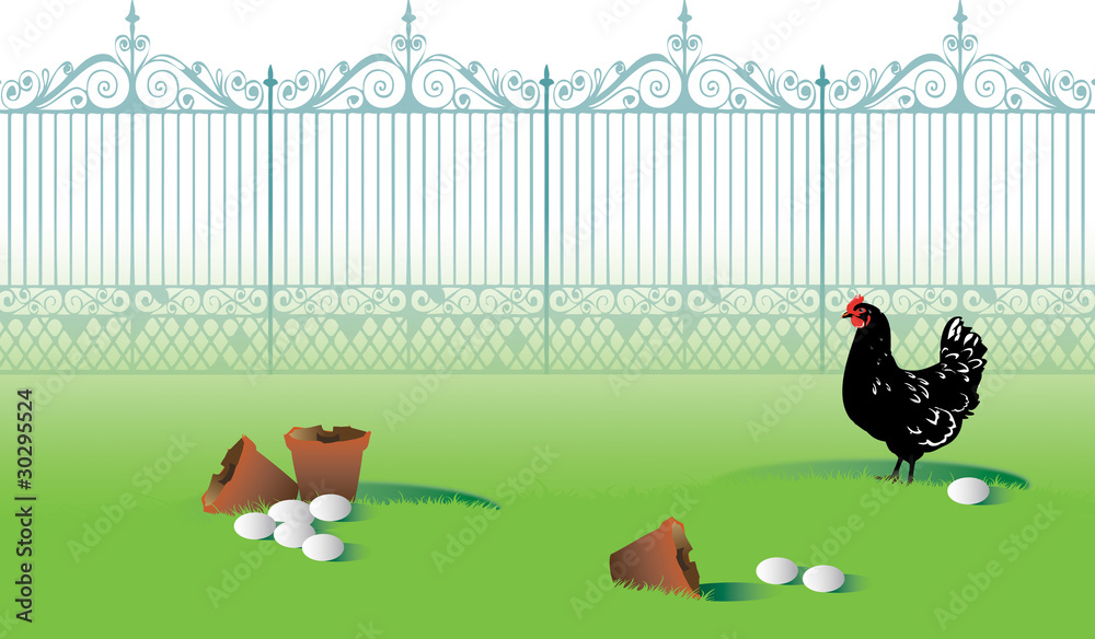 Black and White Chicken Black and White Chicken
