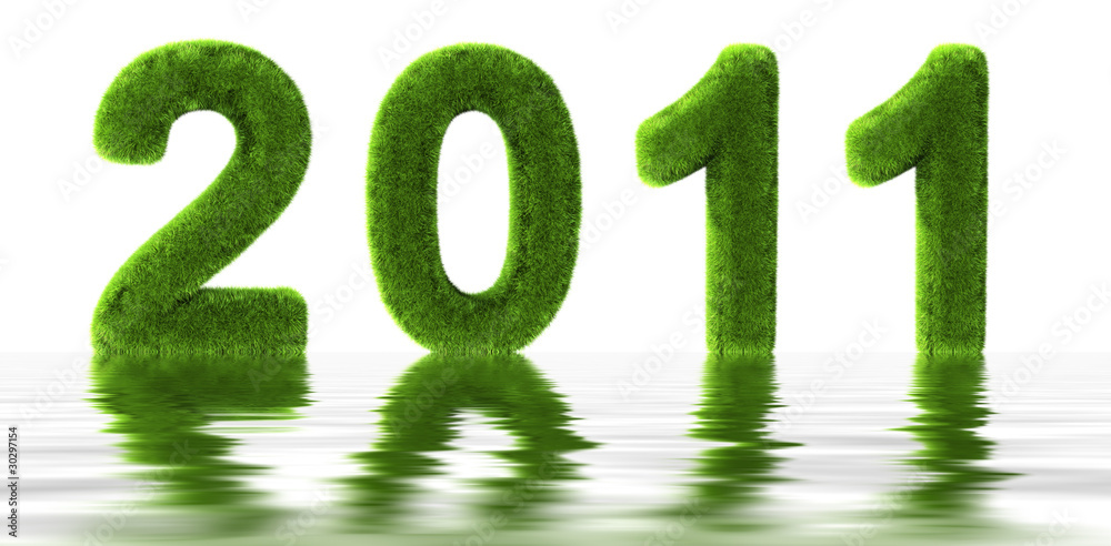 Grass 2011 Grass 2011