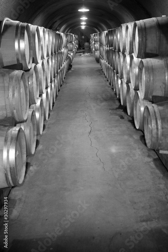 Winery wine cellar