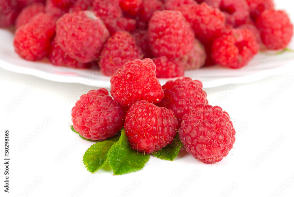 fresh raspberry fresh raspberry