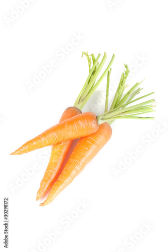Ripe carrots