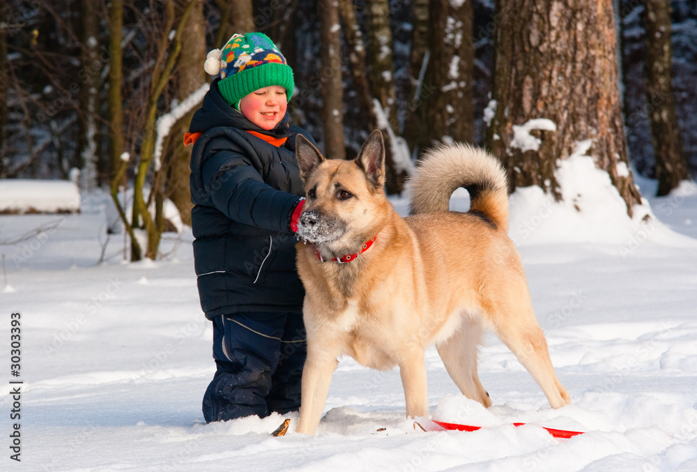 Dog and little boy playing in winter forest Dog and little boy playing in winter forest