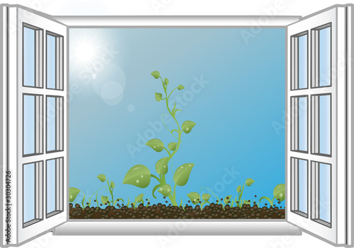 Vector illustration green sprouts in an open window