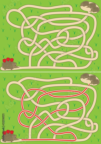 Hedgehog maze