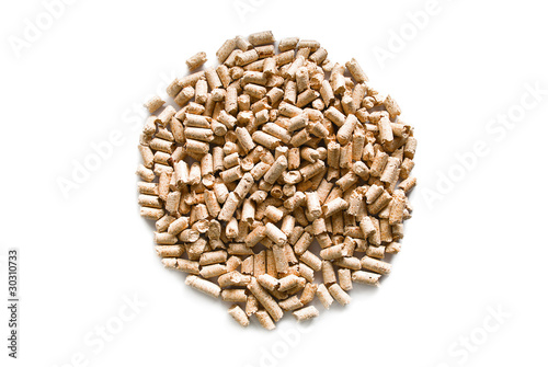 Pellets in a circle. photo