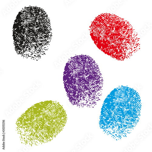 Fingerprint colors vector