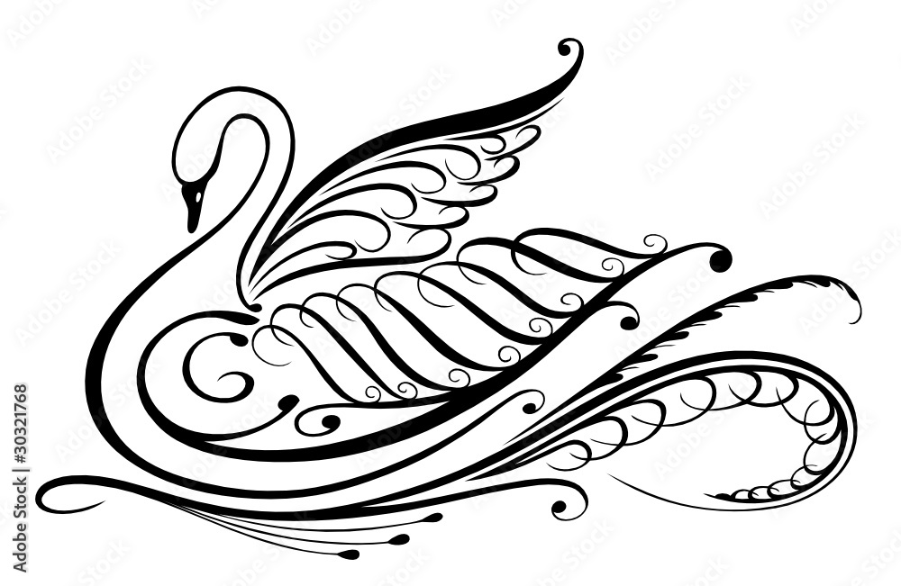 Obraz premium Kalligraphie, Schwan, vector, filigran, design element