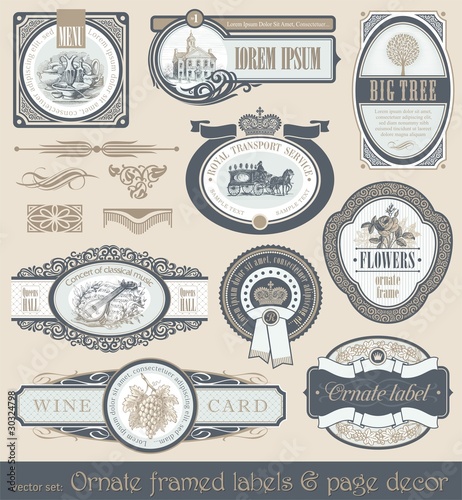 Vector set of vintage framed labels & page decor