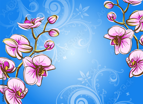 Fototapeta Naklejka Na Ścianę i Meble -  Orchid on a blue background