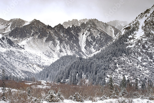 winter mountains photo