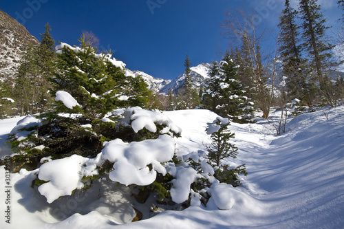 preserve in snow