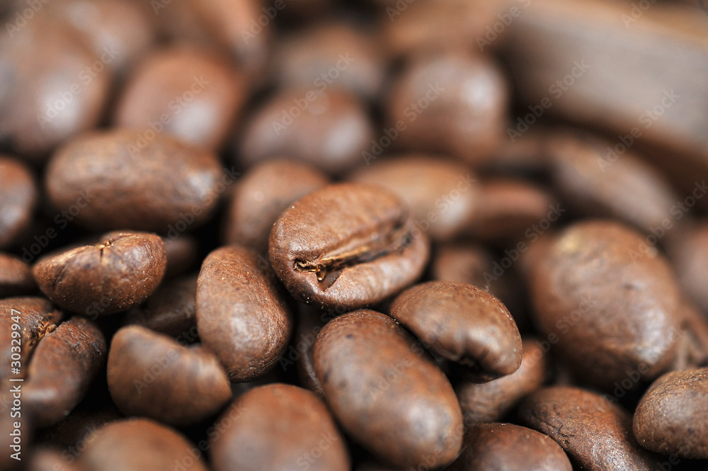 Naklejka premium coffee beans