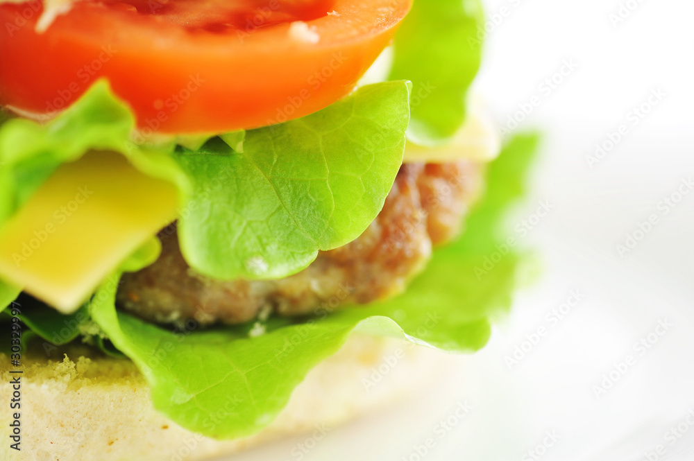 hamburger with vegetables close up hamburger with vegetables close up