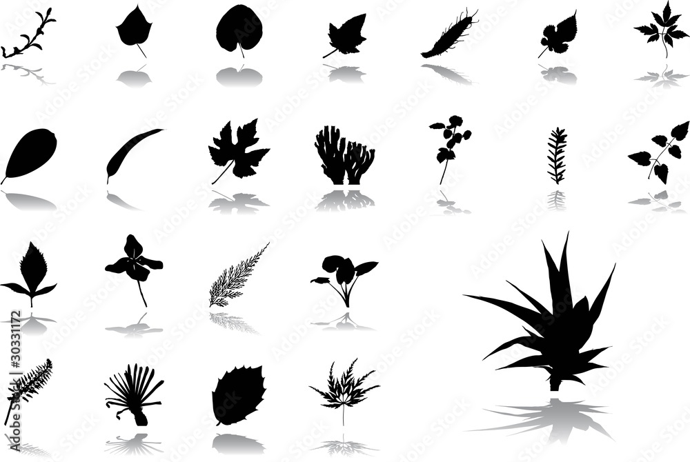 Big set icons - 31. Leaves Big set icons - 31. Leaves