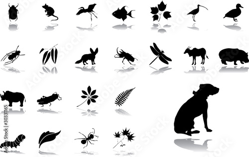 Big set icons - 30. Nature