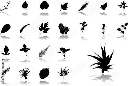 Big set icons - 31. Leaves © Markov