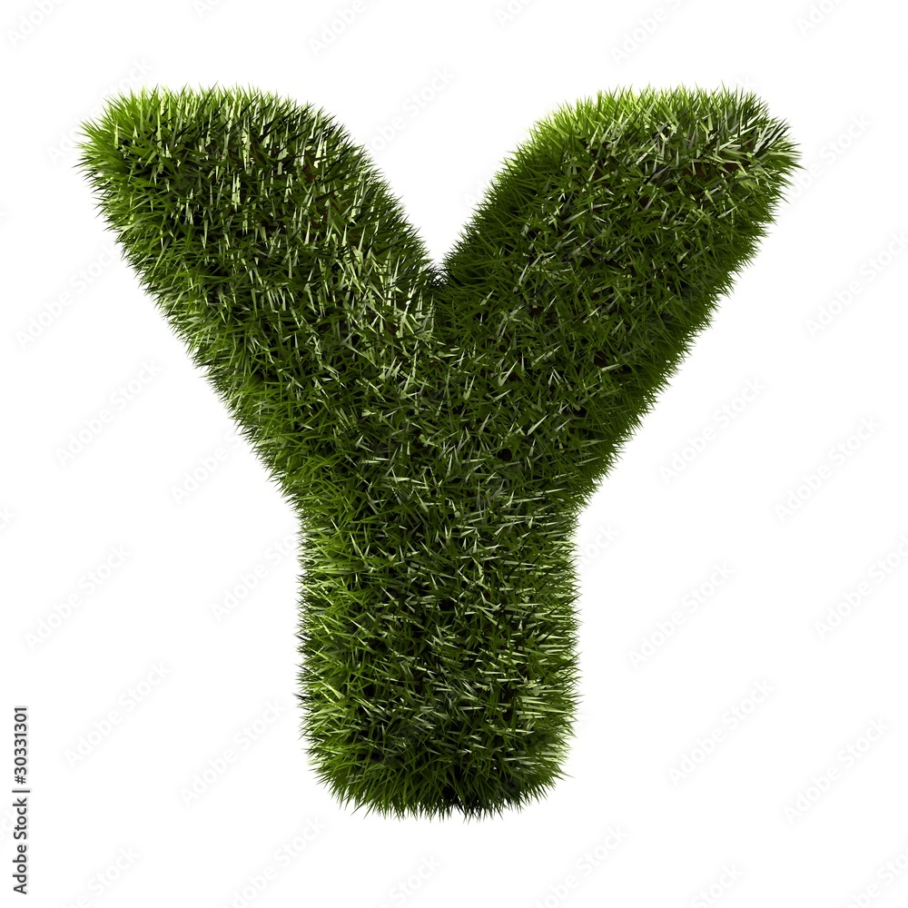 Grasbuchstabe - Y Grasbuchstabe - Y