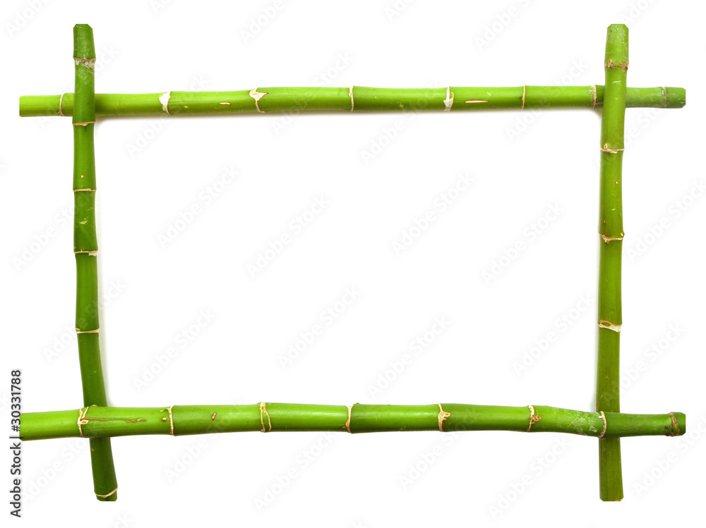 Fototapeta bamboo frame made of stems