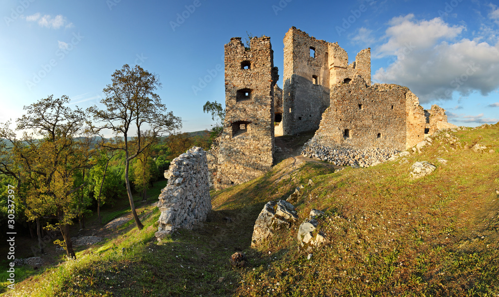 Ruins of Castle Hrusov