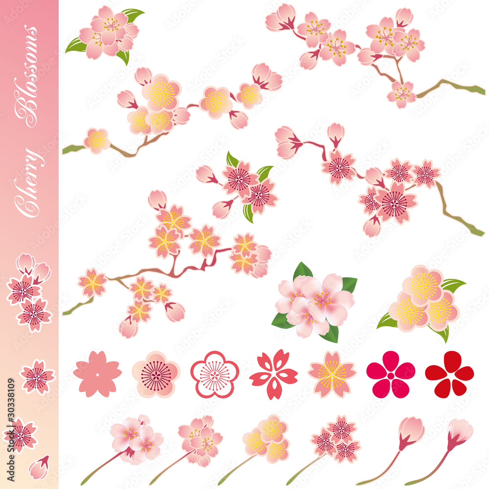 Cherry Blossom Icons Set