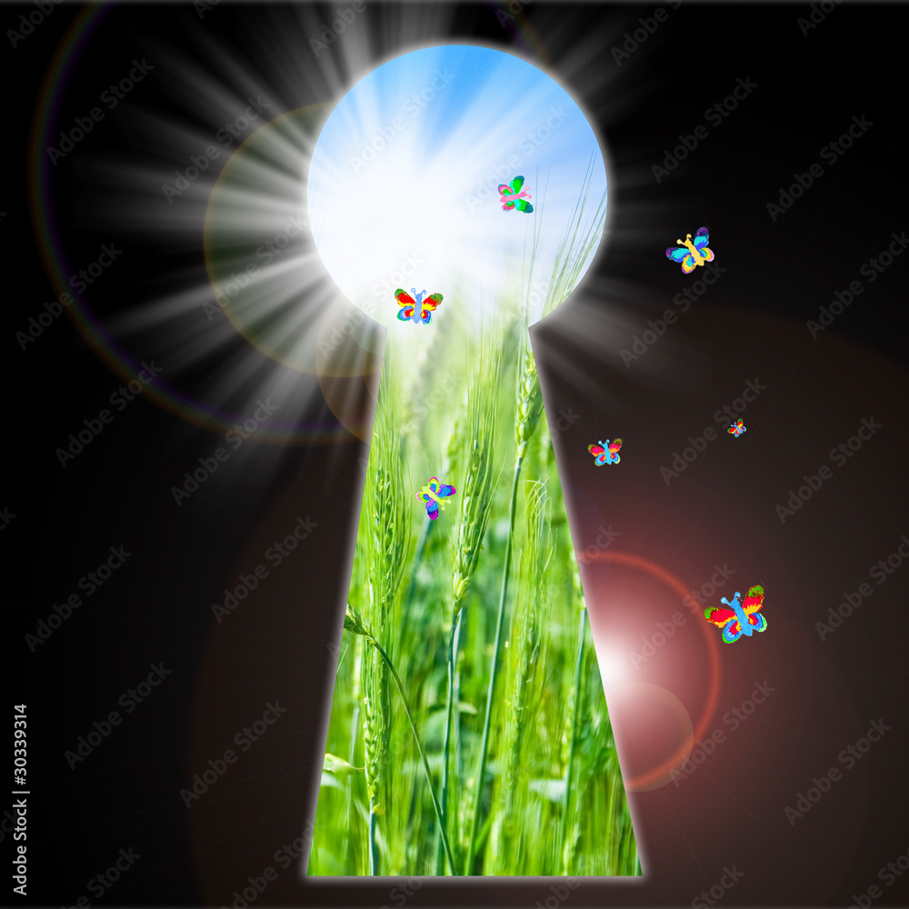 Fototapeta premium Keyhole - the door to another dimension.