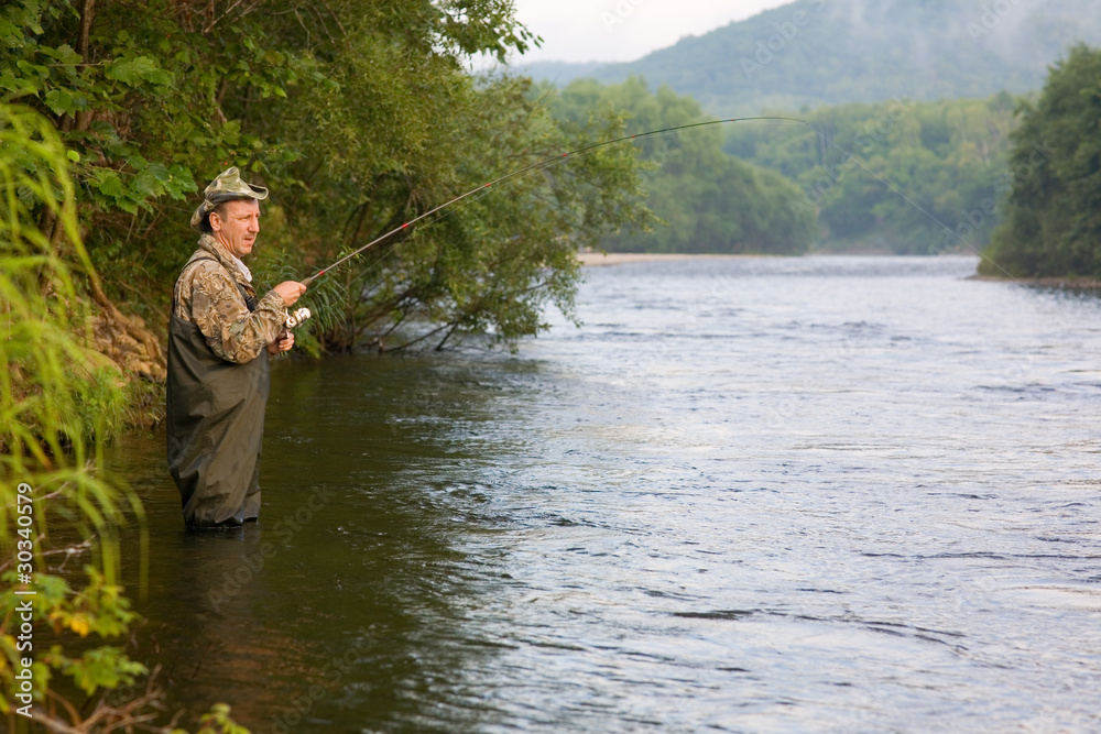 Fisherman catches of salmon (pink salmon) on the river Fisherman catches of salmon (pink salmon) on the river