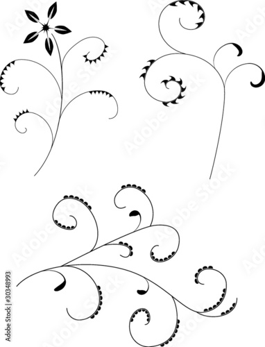 curves and flower