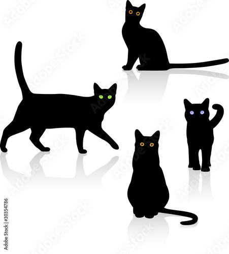 Black Cats! - Black cats with colorful eyes.