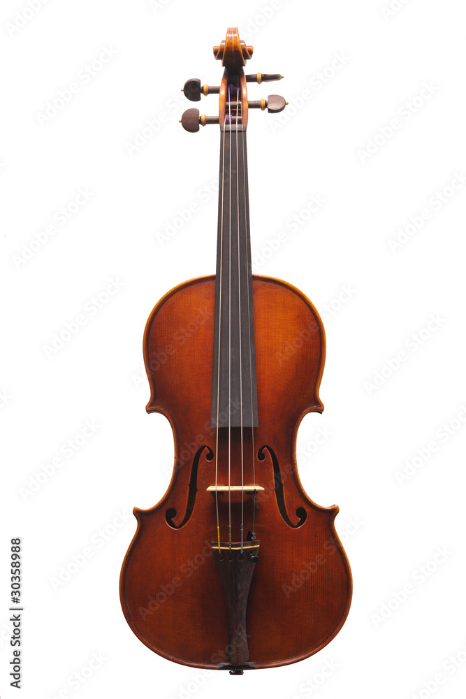 Violino Violino