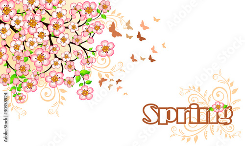 Sring