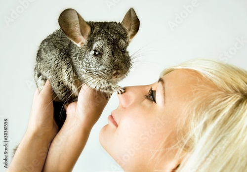 Chinchillas touches girl's nose