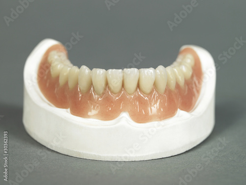 Human teeth with gum