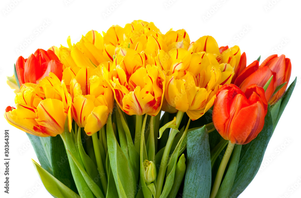 Bouquet of yellow and red tulips isolated on white Bouquet of yellow and red tulips isolated on white