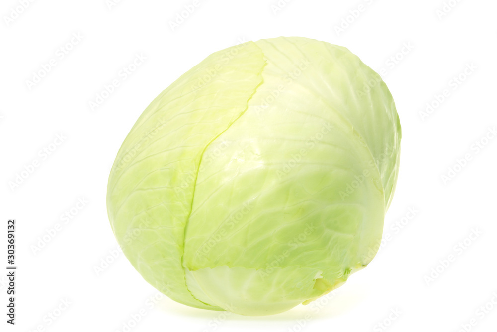 cabbage cabbage