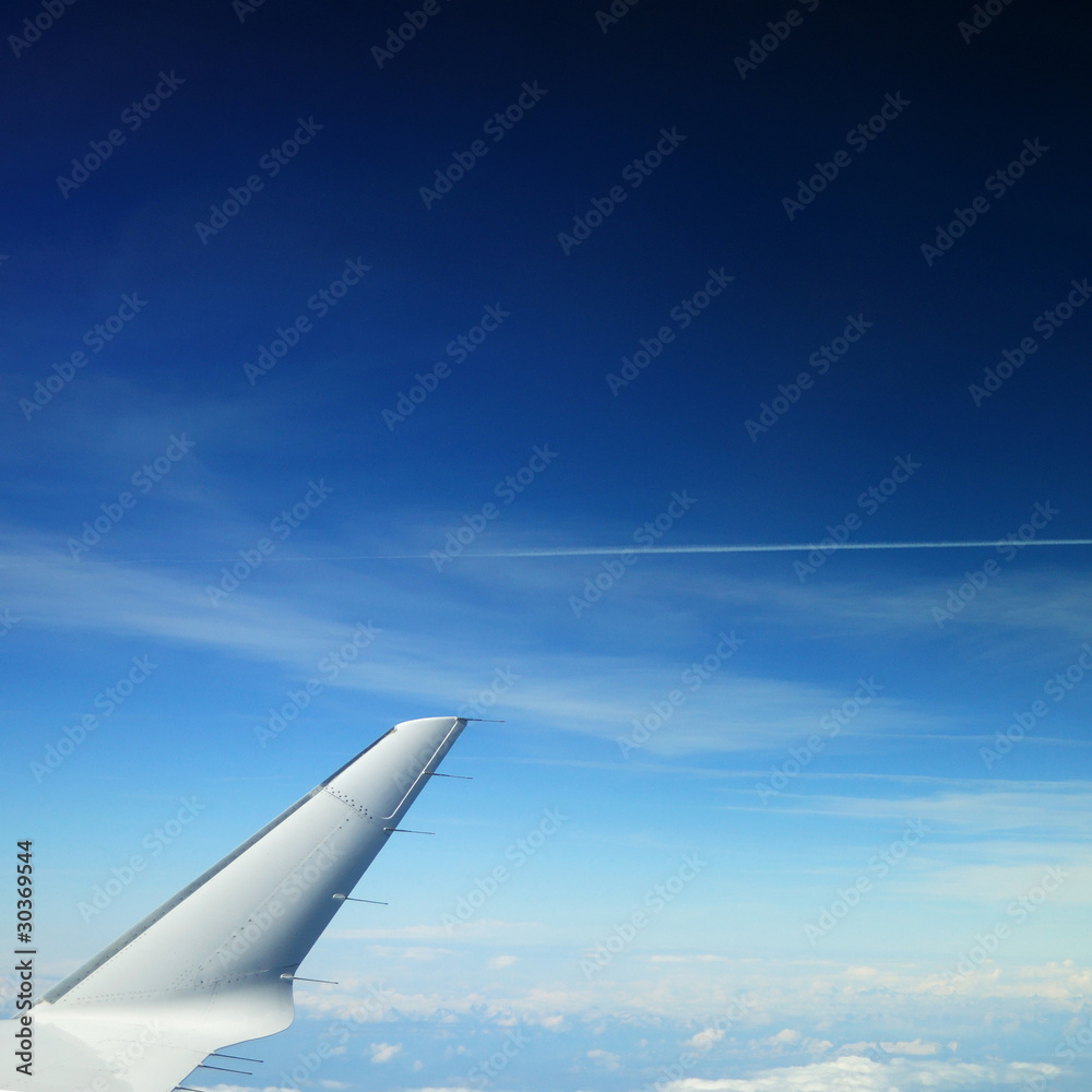 Wing of the plane Wing of the plane