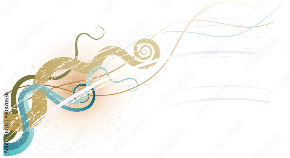 Obraz premium vector ornaments