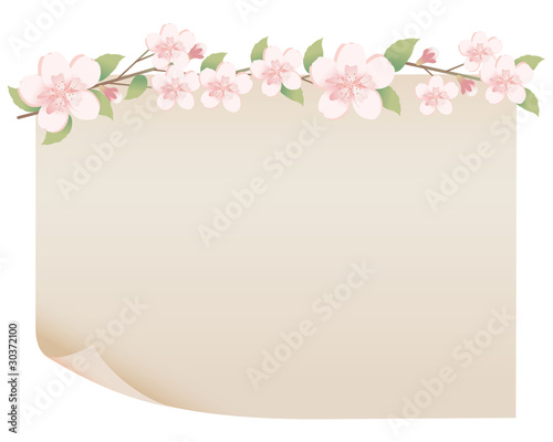 old paper and spring flower