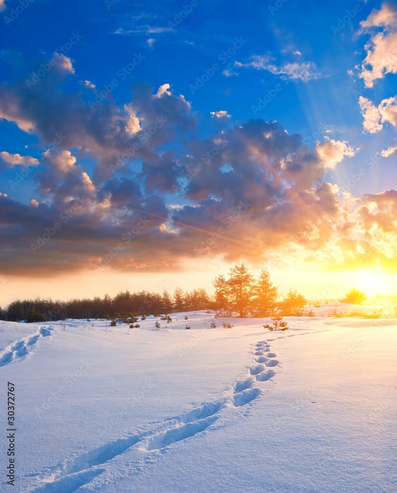 evening snowbound plain with human track evening snowbound plain with human track